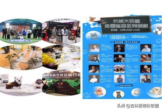 2019第三届北部宠物医师大会暨东北亚宠物展6月28-30日与您相约长春