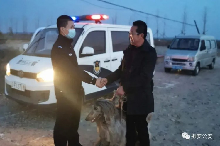 粗心朋友弄丢名犬警民携手帮其寻回