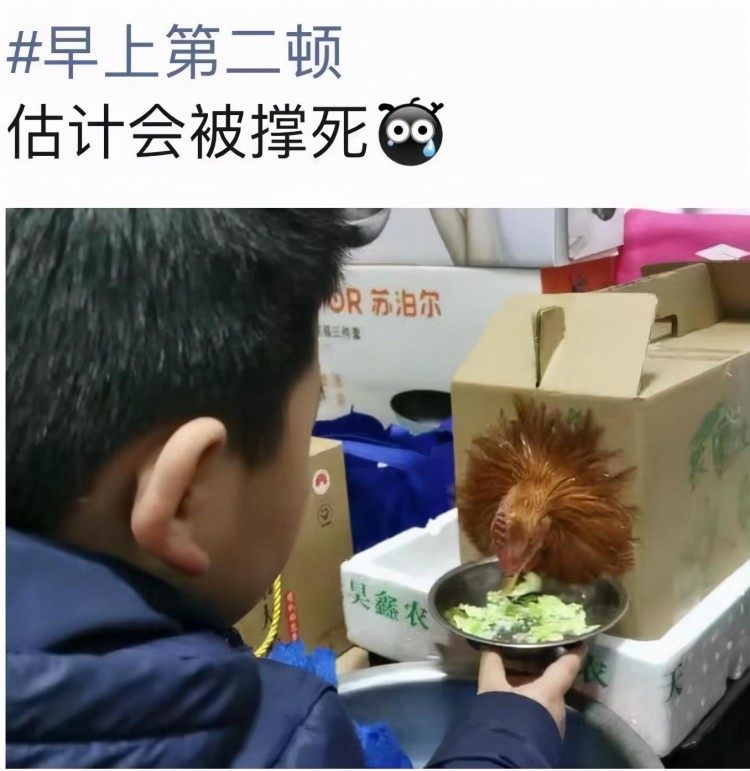 这待遇没谁了！绍兴一家人的美餐被孩子养成宠物