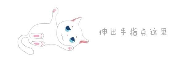 流浪猫因长有四只耳朵被抛弃，铲屎官好心收养后收获萌猫