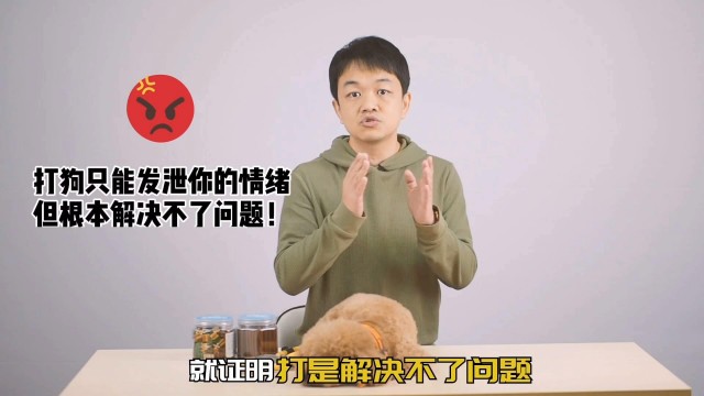 恕我直言打狗的都不配养狗！